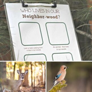 FREE printable woodland and forest simple scavenger hunt for toddlers and preschoolers