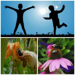 Code a message like a bee in dance - unplugged coding activity for kids