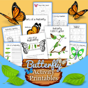 pages shown from the butterfly life cycles activity printable pack from Rainy Day Mum includes maths, writing and science printables for preschoolers and primary children