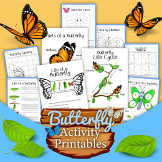 pages shown from the butterfly life cycles activity printable pack from Rainy Day Mum includes maths, writing and science printables for preschoolers and primary children