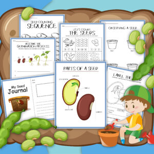 pages from a seed activity printable, including seed journal and simple math activities from counting objects 1 to 10 and numbers in sequence from 1 to 20