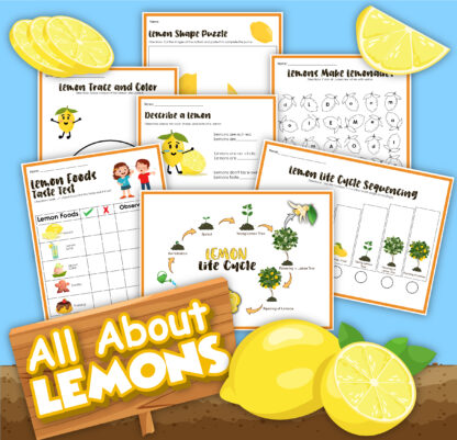 preview of the previews of the All about Lemons Activity Pack from Rainy Day Mum, a quick download for a lemon flavour taste test, life cycle learning and sequencing activities for Kids