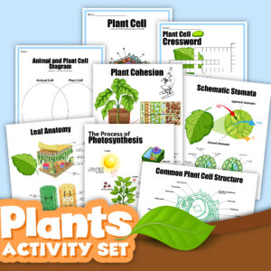 preview of the plants activity set from rainy day mum, all about plant cells and photosynthesis
