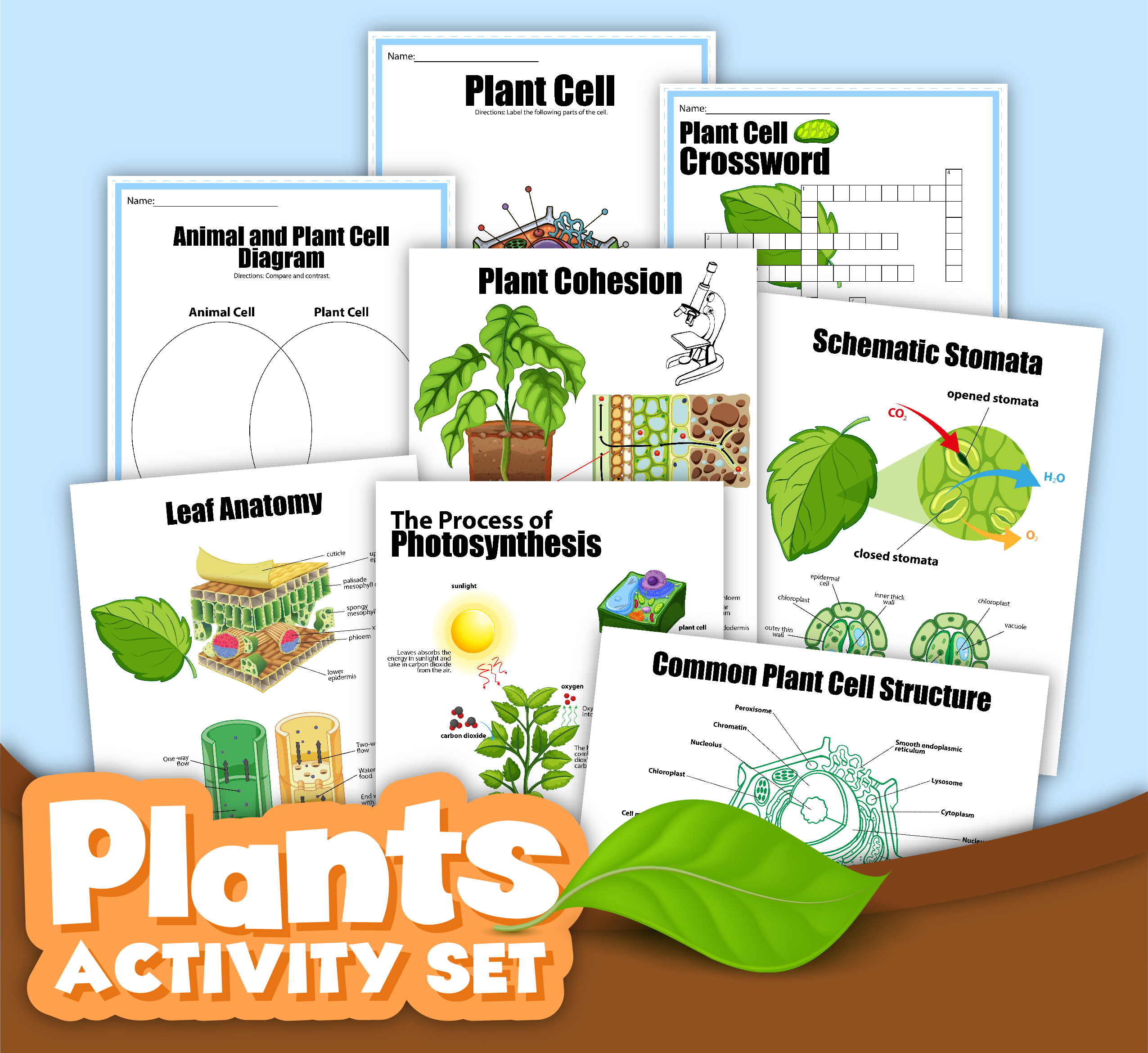 Plant Cells and Photosynthesis Activity Pack - Rainy Day Mum Shop